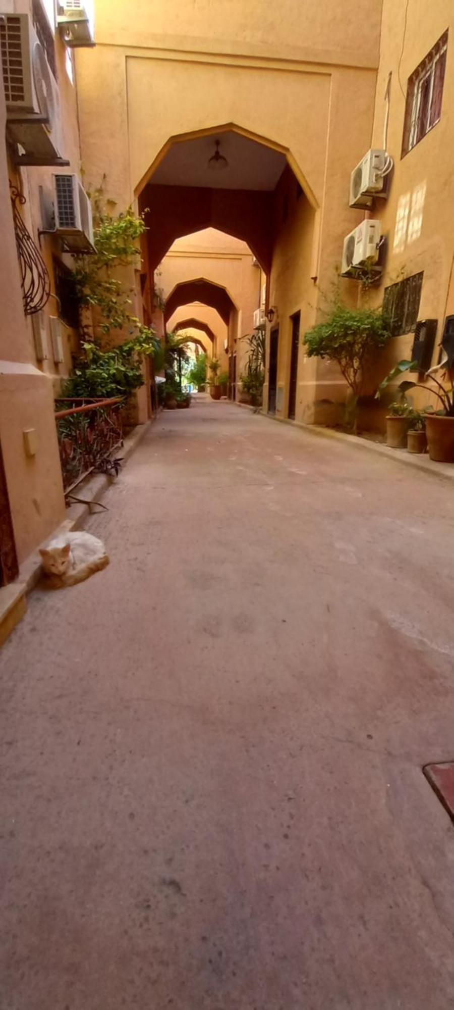 Riad Al-Bushra มาร์ราเกช ภายนอก รูปภาพ